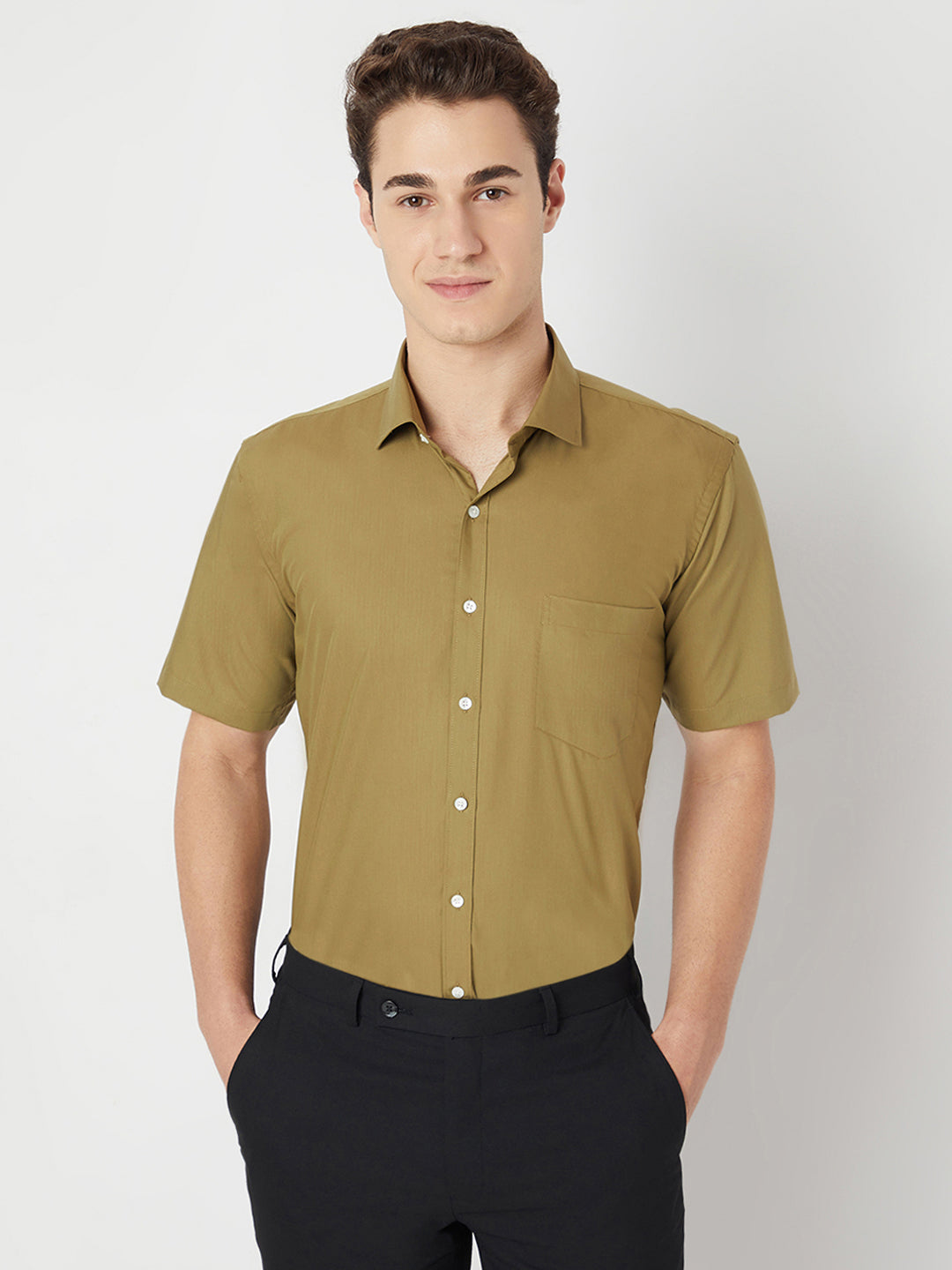Wrinkle Free Half Sleeve Shirt